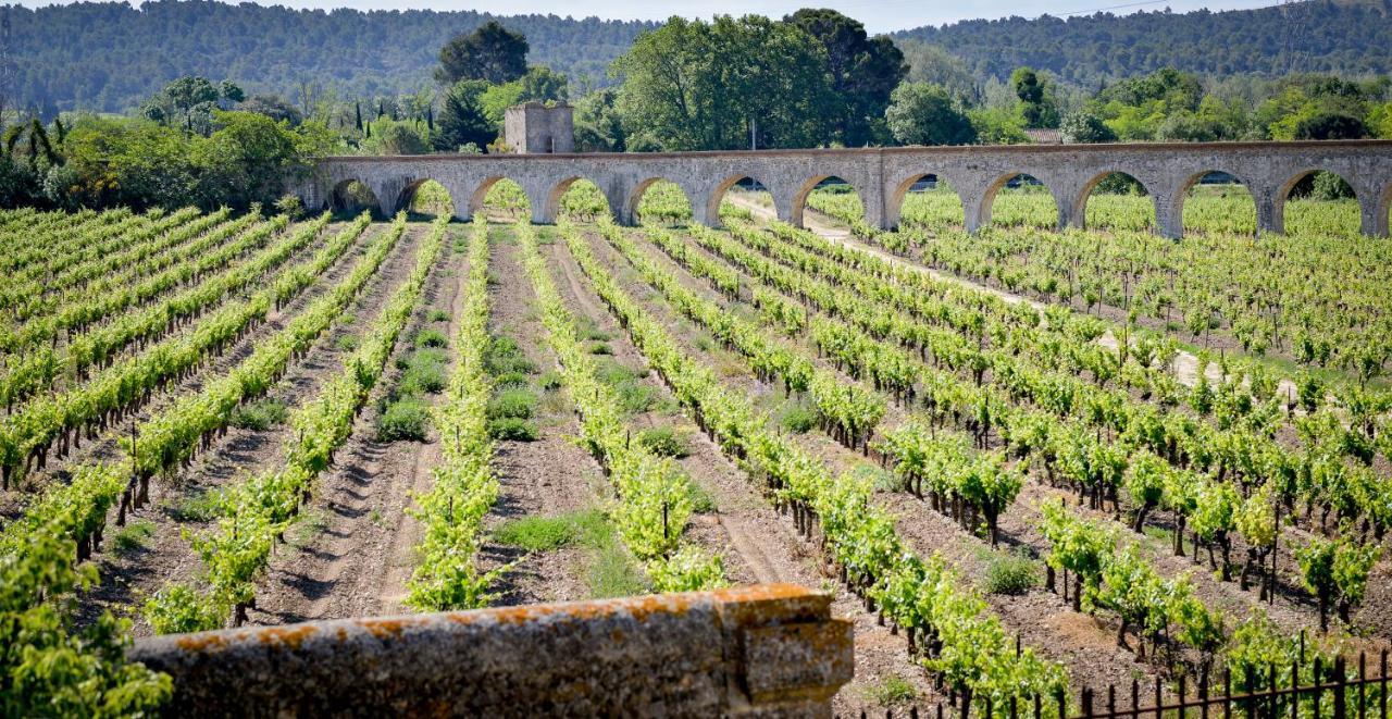 La Résidence du Château de Jouarres Azille Esterno foto